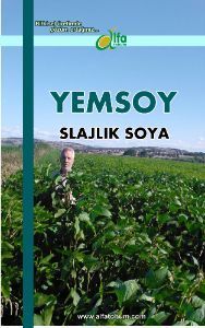 YEMSOY Silajlık Tip Soya Fasulyesi