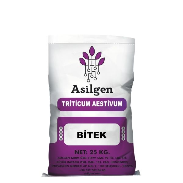 BTEK Triticum Aestivum