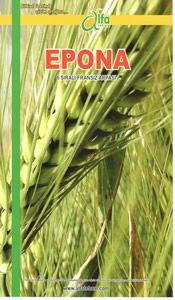 EPONA 6 Sral Arpa Tohumu