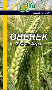 OBEREK 2 Sıralı Arpa Tohumu