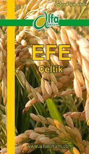 EFE Çeltik Tohumu