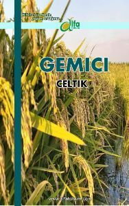 GEMC eltik Tohumu