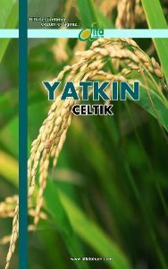 YATKIN eltik Tohumu