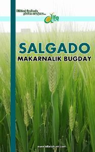 SALGADO Makarnalk Buday Tohumu
