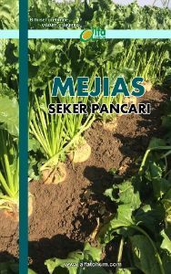 MEJİAS Şeker Pancarı Tohumu