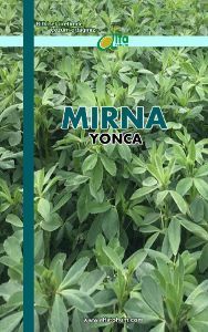 MİRNA Yonca Yem Bitkisi Tohumu